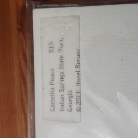 Camellia Peace Print by Hazel Berger 2011 - Picture 4 of 4